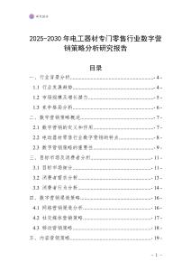 2025-2030年電工器材專門零售行業數字營銷策略分析研究報告