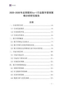 2025-2030年皮革鞣劑ks-1行業(yè)數(shù)字營(yíng)銷(xiāo)策略分析研究報(bào)告