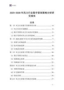 2025-2030年風(fēng)力行業(yè)數(shù)字營銷策略分析研究報告