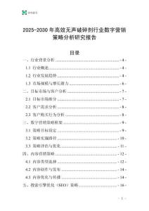 2025-2030年高效無(wú)聲破碎劑行業(yè)數(shù)字營(yíng)銷(xiāo)策略分析研究報(bào)告