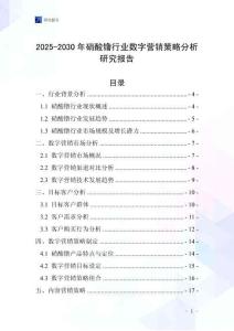 2025-2030年硝酸镥行業(yè)數(shù)字營銷策略分析研究報(bào)告
