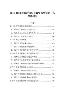 2025-2030年硫酸鐵行業(yè)數(shù)字營銷策略分析研究報告