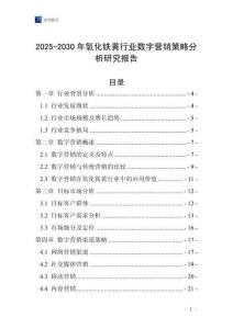 2025-2030年氧化鐵黃行業數字營銷策略分析研究報告