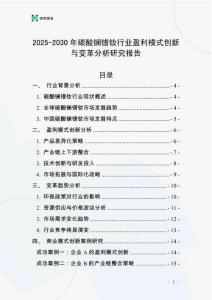 2025-2030年碳酸鑭鐠釹行業盈利模式創新與變革分析研究報告
