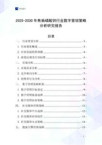 2025-2030年焦偏磷酸鈉行業(yè)數(shù)字營(yíng)銷策略分析研究報(bào)告