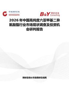 2026年中國高純度六亞甲基二異氰酸酯行業市場現狀調查及投資機會研判報告