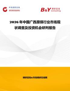 2026年中國廣西原煤行業(yè)市場現(xiàn)狀調(diào)查及投資機會研判報告