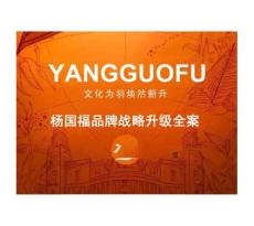 楊國福品牌戰(zhàn)略升級全案