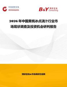 2026年中國黃桃冰點澆汁行業市場現狀調查及投資機會研判報告