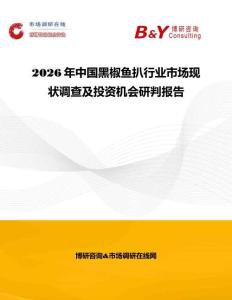 2026年中国黑椒鱼扒行业市场现状调查及投资机会研判报告