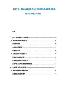 2025海上石油鉆探設(shè)備行業(yè)市場發(fā)展趨勢供需需求及融資評估布局研究報告