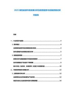 2025綠色能源市場發(fā)展分析及前景趨勢與投融資模式研究報告
