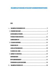 商業(yè)服務(wù)業(yè)市場(chǎng)發(fā)展分析及投資與發(fā)展前景預(yù)測(cè)研究報(bào)告
