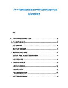 2025中國新能源供應(yīng)鏈行業(yè)市場供需分析及投資評估規(guī)劃分析研究報告
