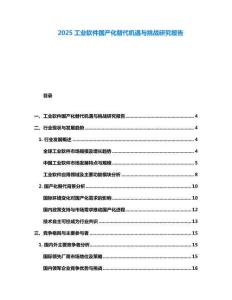 2025工業(yè)軟件國產(chǎn)化替代機遇與挑戰(zhàn)研究報告