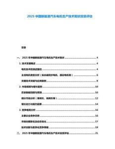 2025中國(guó)新能源汽車電機(jī)生產(chǎn)技術(shù)現(xiàn)狀投資評(píng)估