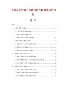 2025年中國上肢牽引帶市場調查研究報告