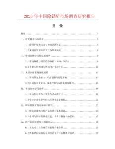 2025年中國除銹鏟市場調查研究報告