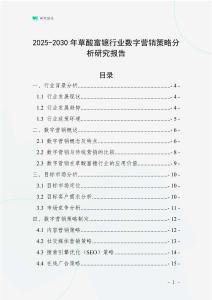 2025-2030年草酸富鐿行業數字營銷策略分析研究報告
