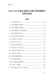 2025-2030年氯化富鐿行業數字營銷策略分析研究報告