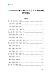 2025-2030年稻靈丹行業數字營銷策略分析研究報告