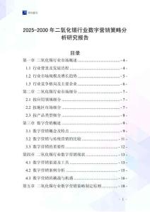 2025-2030年二氧化錫行業(yè)數(shù)字營銷策略分析研究報(bào)告