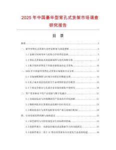 2025年中国豪华型背孔式货架市场调查研究报告