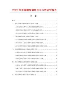 2026年雙隔膜泵浦項目可行性研究報告