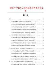 2025年中国炭火烧鳗鱼市场调查研究报告