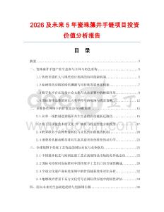 2026及未來5年瓷珠藻井手鏈項(xiàng)目投資價值分析報(bào)告