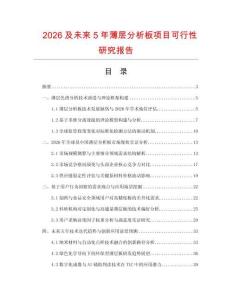 2026及未來5年薄層分析板項目可行性研究報告