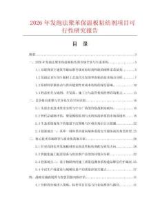 2026年发泡法聚苯保温板粘结剂项目可行性研究报告