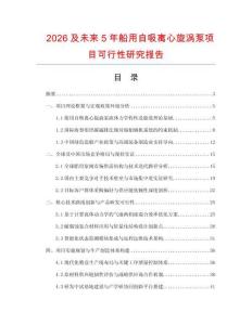 2026及未來5年船用自吸離心旋渦泵項目可行性研究報告