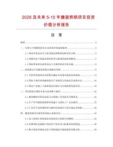 2026及未來5-10年搪瓷煎鍋項目投資價值分析報告