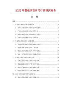 2026年雪板夾項(xiàng)目可行性研究報(bào)告
