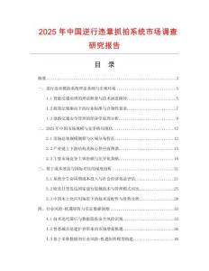 2025年中國(guó)逆行違章抓拍系統(tǒng)市場(chǎng)調(diào)查研究報(bào)告