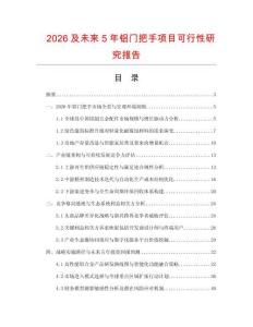 2026及未來5年鋁門把手項目可行性研究報告