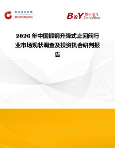 2026年中國鍛鋼升降式止回閥行業市場現狀調查及投資機會研判報告