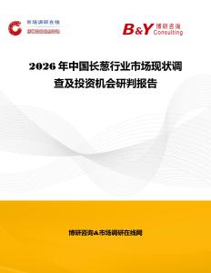 2026年中國長蔥行業市場現狀調查及投資機會研判報告