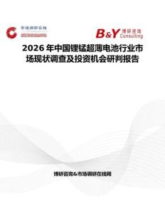 2026年中國(guó)鋰錳超薄電池行業(yè)市場(chǎng)現(xiàn)狀調(diào)查及投資機(jī)會(huì)研判報(bào)告