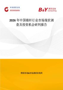 2026年中國錨桿行業市場現狀調查及投資機會研判報告