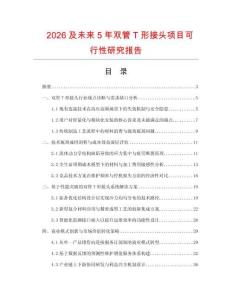 2026及未來5年雙管T形接頭項目可行性研究報告