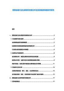 普惠金融行業私募股權發展分析及投資融資策略研究報告
