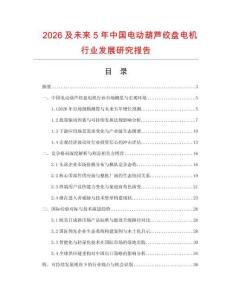 2026及未來5年中國電動葫蘆絞盤電機行業(yè)發(fā)展研究報告