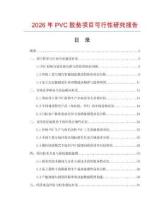 2026年PVC膠墊項目可行性研究報告