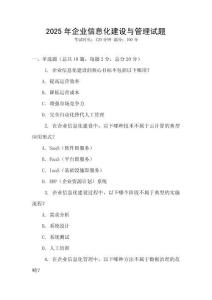 2025年企業信息化建設與管理試題