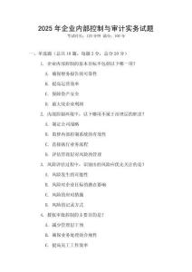 2025年企業內部控制與審計實務試題
