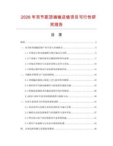 2026年雙節距頂端輸送鏈項目可行性研究報告