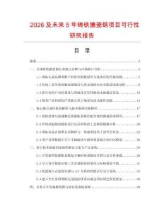 2026及未來5年鑄鐵搪瓷鍋項(xiàng)目可行性研究報(bào)告