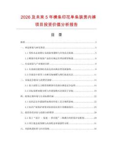 2026及未來5年橫條印花單條裝男內褲項目投資價值分析報告